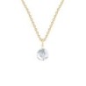 Gold Plated Premium Steel Crystal Clear 8mm Globe Pendant Necklace Embellished with Premium Grade Austrian Crystal