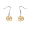 Hexagon Star Crystal Golden Shadow Steel Earrings Embellished with Premium Grade Austrian Crystals (Made In Japan)