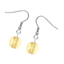 Premium Stainless Steel Golden Shadow Crystal Globe Classic Hook Earrings (Made In Japan)