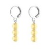 Premium Stainless Steel Hoop Golden Shadow Trilogy Globe Crystals Earrings (Made In Japan)