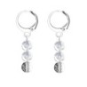 Premium Stainless Steel Hoop Clear Black Patina Trilogy Globe Crystals Earrings (Made In Japan)