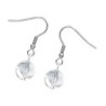 Premium Stainless Steel Clear Crystal Globe Classic Hook Earrings (Made In Japan)