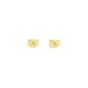 High Quality Gold Stainless Steel Earring Backs (Made in Japan)