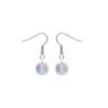 Premium Stainless Steel Paradise Shine Crystal Globe Classic Hook Earrings (Made In Japan)