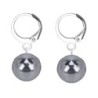 Premium Steel Hoop Natural 12mm Terahertz Crystal Earrings