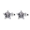 Premium Stainless Steel Hypoallergenic Zirconia Star B/W Series Stud Earrings