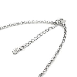 Dainty Forever Love Premium 316 Stainless Steel Choker With Extension ( Made In Japan )