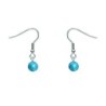 Premium Stainless Steel Natural Blue Amazonite Dainty Globe Classic Hook Hypoallergenic Earrings