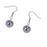 Premium Stainless Steel Natural 12mm Terahertz Globe Classic Hook Hypoallergenic Earrings