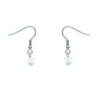 Premium Stainless Steel Natural Clear Quartz Dainty Globe Classic Hook Hypoallergenic Earrings