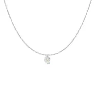 Premium Steel Crystal AB Sea Snail Pendant Necklace Embellished with Austrian Crystal