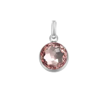 Premium Steel 8mm Exclusive Fantasy Round Vintage Rose Pendant Charm Embellished with Austrian Crystal