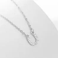 Premium Stainless Steel Lucky Horseshoe Stylish Design Necklace Chain with Extension (Made In Japan)