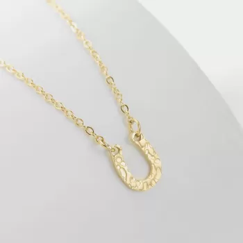 copy of Premium Stainless Steel Lucky Horseshoe Stylish Design Necklace Chain with Extension (Made In Japan)