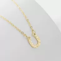 copy of Premium Stainless Steel Lucky Horseshoe Stylish Design Necklace Chain with Extension (Made In Japan)