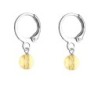 Premium Steel Hoop Golden Shadow Dainty Crystal Earrings Embellished with Premium Grade Austrian Crystals