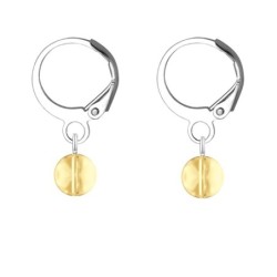 Premium Steel Hoop Golden Shadow Dainty Crystal Earrings Embellished with Premium Grade Austrian Crystals